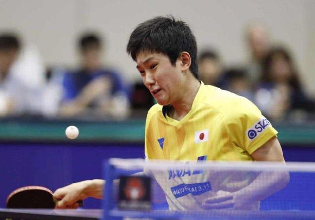 回应质疑 回应质疑