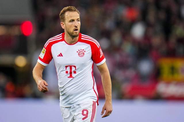 仅奠定了利 仅奠定了利