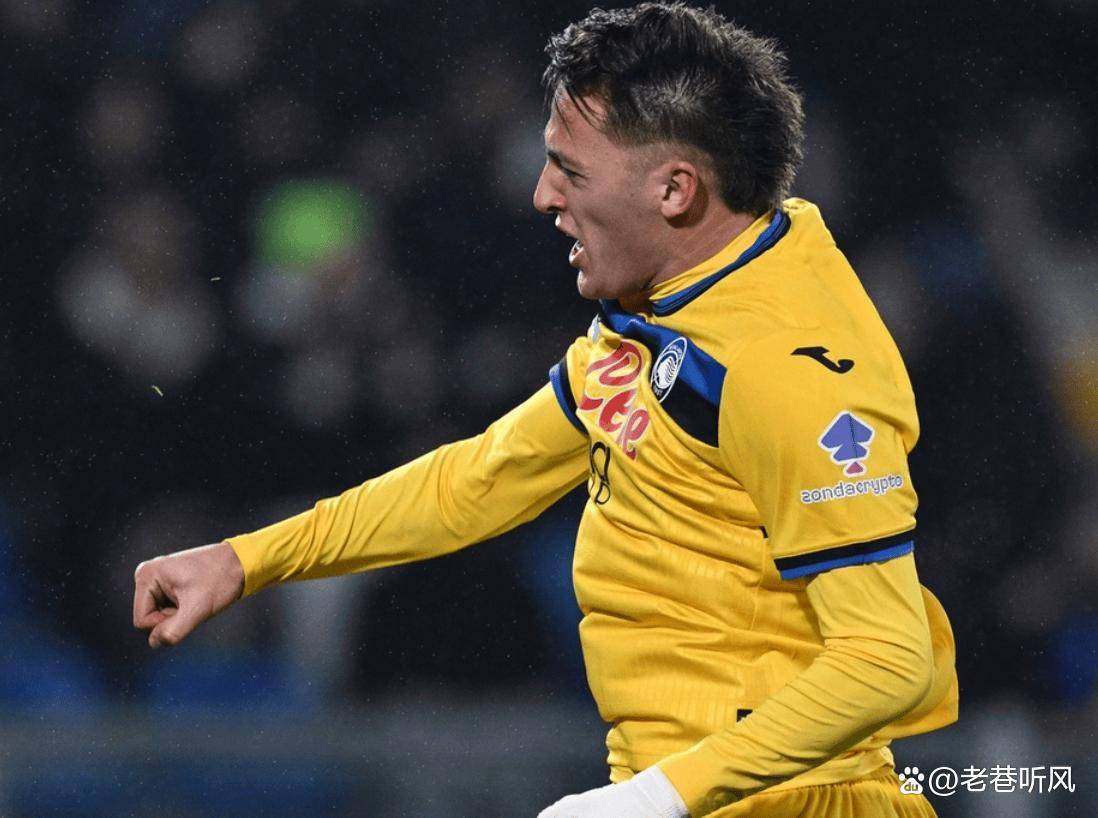 引发了公众 引发了公众